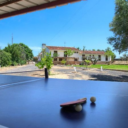 Finca Olivar De La Bardena Guest House Tudela Luaran gambar